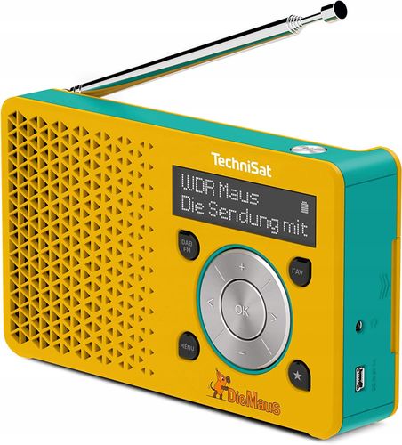 Radio TechniSat DigitRadio 1 Edycja Specjalna DAB+ na Arena.pl