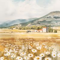 product-compare-59408935