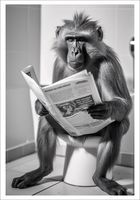 PLAKAT BEZ RAMY do Łazienki WC Toalety MAŁPA kibel gazeta P2533_50x70