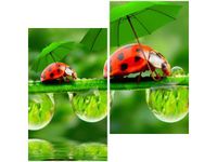 product-compare-58647807