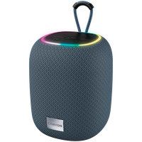 canyon głośnik bluetooth bsp-8 10w szary