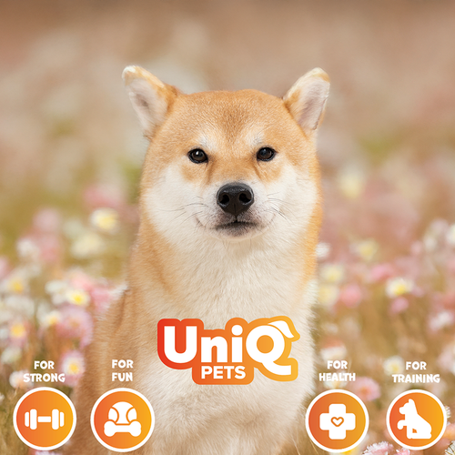 Przysmaki dla psa smaczki kiełbaski z jagnięciny WOOFERS 250g UNIQ PETS na Arena.pl