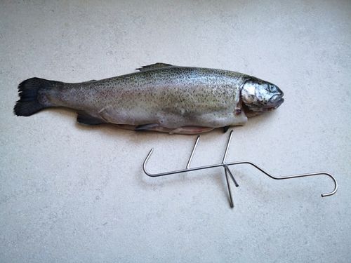 Hak haczyk wędzarniczy do wędzenia ryb potrójne z rozpórką 10 szt. ZUT na Arena.pl