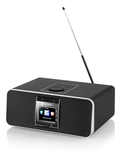 Radio Internetowe Bluetooth Wi-Fi DLNA GoGEN na Arena.pl