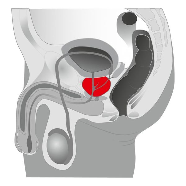 Plug/Prostata-Joystick Prostata Booster, Black zdjęcie 3