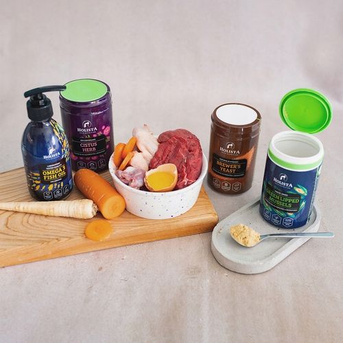 HOLISTA Olej OMEGA 3 Fish Oil dla Psa KOTA KWASY OMEGA EPA DHA BARF 100ml na Arena.pl