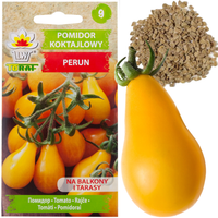 POMIDOR KOKTAJLOWY GRUNTOWY WYSOKI PERUN 0,5G NASIONA POMIDORA POMIDORKI