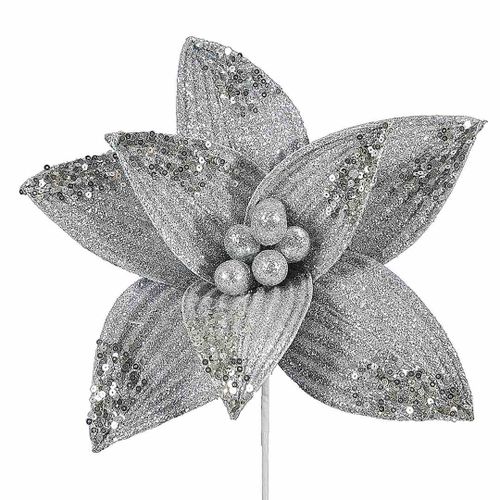 SW/KW/JENNY/SREB na Arena.pl