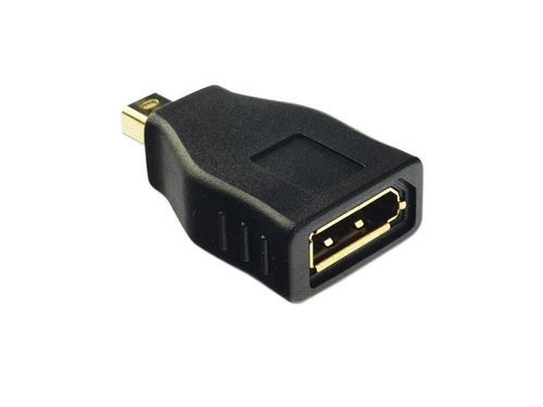 Lindy 41077 Adapter  DisplayPort > Mini DisplayPort na Arena.pl