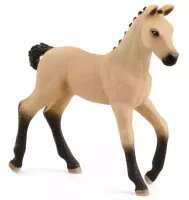 Horse Club. SLH13929. Źrebię rasy hanowerskiej, bułane