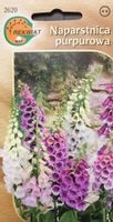 Naparstnica purpurowa mix nasiona rabaty skalniak