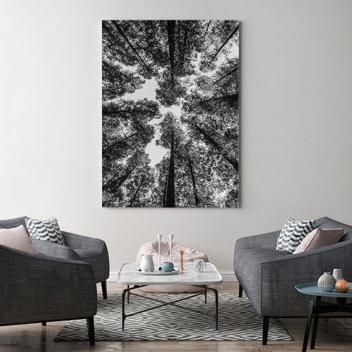 Obraz na płótnie - Canvas, Czubki drzew 40x60 na Arena.pl