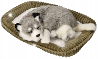 Piesek Husky Maskotka Szczeniaczek Oddychający Śpiący Pies Perfect Petzzz