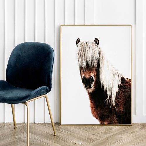 Plakat koń skandynawski 70x100 cm na Arena.pl