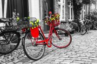 fototapety FOTOTAPETA miasta mosty rower czerwony