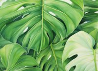 Plakat 55x40cm Tajemnice Liści