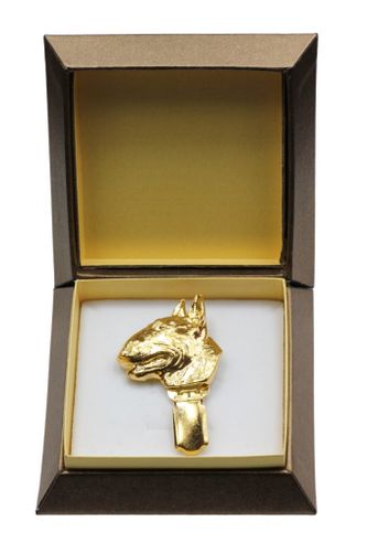 Bulterier - klips - 2597 na Arena.pl