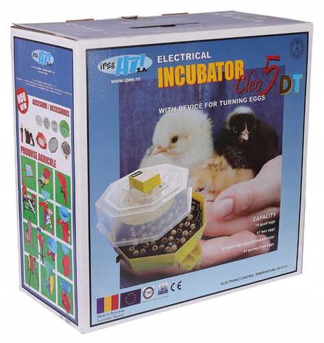 INKUBATOR CLEO 5 DTHE 60/41 JAJ WYLĘGARKA KLUJNIK TERMOMETR HIGROMETR TACA na Arena.pl