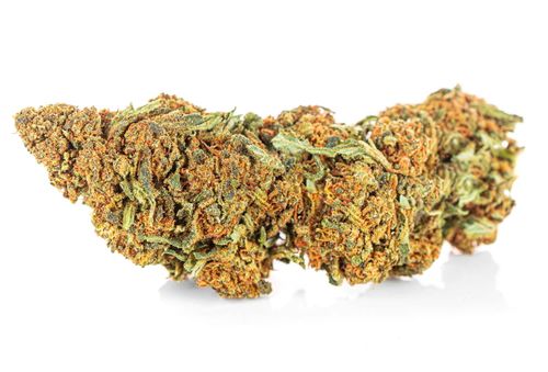 Susz konopny CBD | STRAWBERRY HAZE | 20 g na Arena.pl
