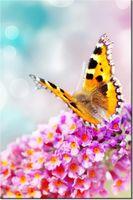 80CM 120 OBRAZ MOTYL KWIATKACH ŚCIENNY