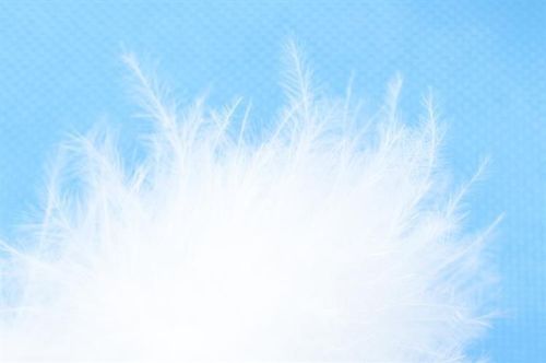 Skrzydła Anioła na Arena.pl