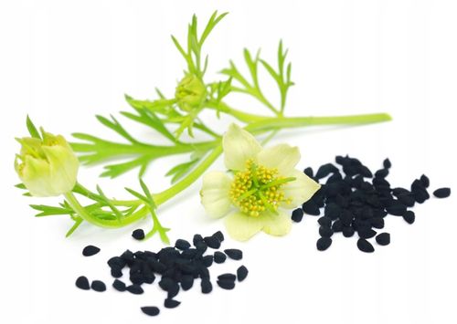 Olej z czarnuszki 250ml / BIOSWENA zimnotłoczony na Arena.pl