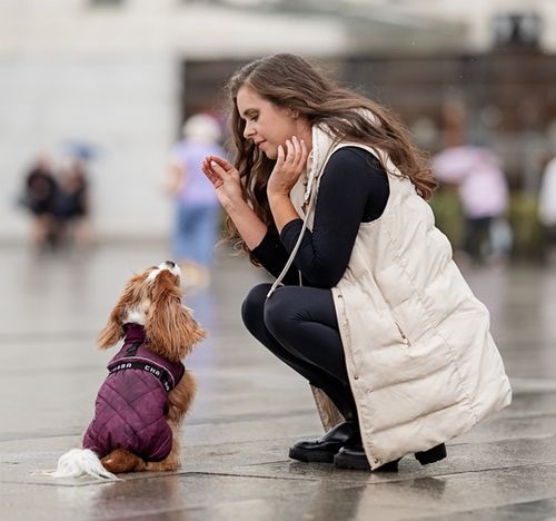 Chaba Kubrak Regulowany Chic Xl Burgundy na Arena.pl