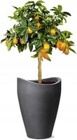 DONICA WYSOKA 40 CM CZARNY GRANIT Ø30 CM