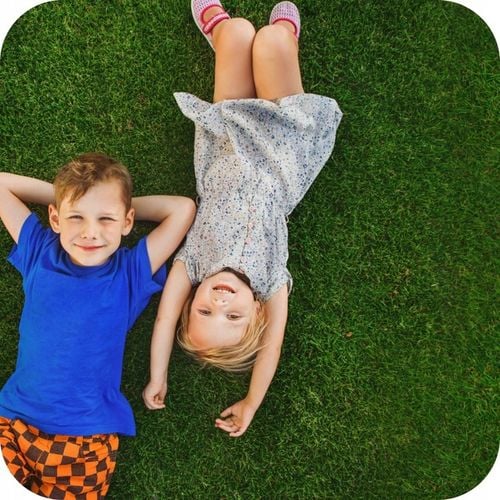 NAWÓZ DO TRAWY COMPLEX 25 KG TRAWNIKA TRAWNIKÓW ROSAFERT NPK 12-12-17 na Arena.pl