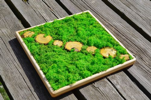 Tacka drewniana 30x30x2 cm na Arena.pl