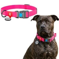 Obroża dla psa wodoodporna różowa Waudog XL