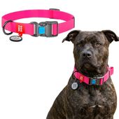 Obroża dla psa wodoodporna różowa Waudog XL