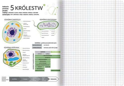 ZESZYT A5 60 # BIOLOGIA TOP na Arena.pl