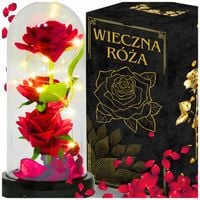 WIECZNA RÓŻA W SZKLE ŚWIECĄCA LED PREZENT NA WALENTYNKI DZIEŃ BABCI PUDEŁKO