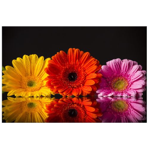 Obraz Do Salonu 120X80 Gerbery na Arena.pl