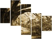 OBRAZ DROGA DRZEWAMI VINTAGE