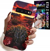 ETUI DO SAMSUNG GALAXY S10 - MEKSYKAŃSKA PUSTYNIA WIDOKI CASE + FOLIA