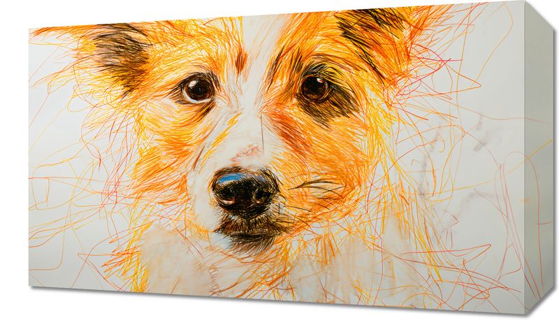 Obraz 50x30cm Uroczy Gość zdjęcie 1