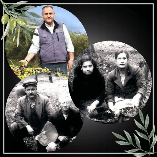 Oliwa z Oliwek GRECKA Extra Virgin 3l NIEFILTROWANA jakość ŚWIEŻY ZB. 24/25 na Arena.pl