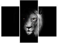 OBRAZ DUCH MROK LEW CIEŃ CZARNO-BIAŁY