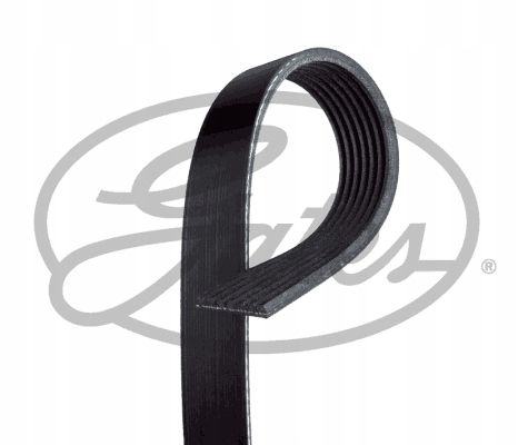 PASEK W/KLINOWY 7PK1051 GATES na Arena.pl