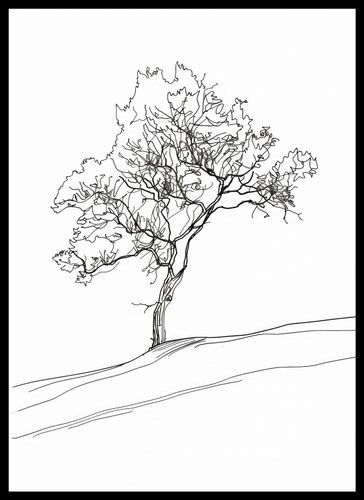 Plakat 39,5x55cm Drzewo w Zarysie na Arena.pl