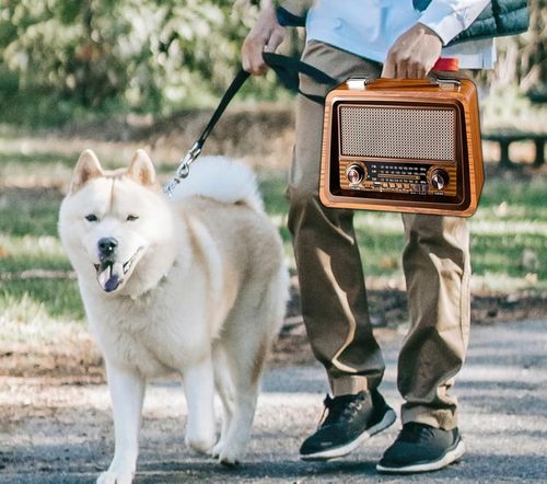RETRO RADIO SIECIOWO BATRYJNE PRZENOŚNE BLUETOOTH AKUMULATOROWE FM AM na Arena.pl