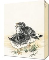 Obraz 30x40cm Black Brant, Kashu Japoński Vintage do Salonu