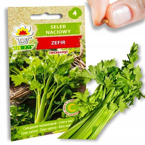 Nasiona warzyw marchew ogórek pietruszka burak NA DOBRY START UDANE PLONY na Arena.pl