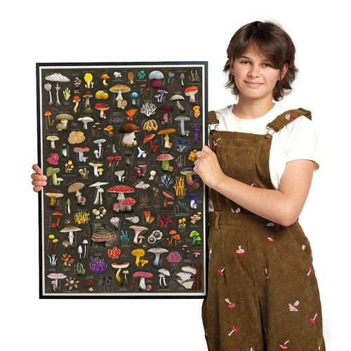 Puzzle Puzzlove Grzyby 500 elementów na Arena.pl
