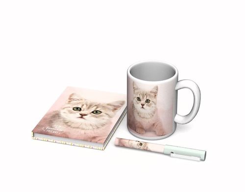 Gift set – cat na Arena.pl