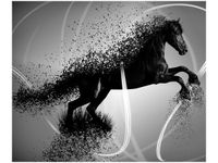 product-compare-58648620