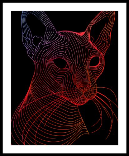 Plakat 40x50cm Cyfrowa Kocica na Arena.pl