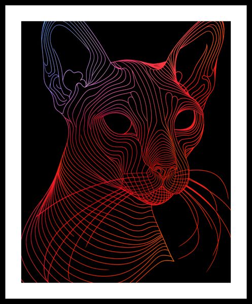 Plakat 40x50cm Cyfrowa Kocica zdjęcie 3